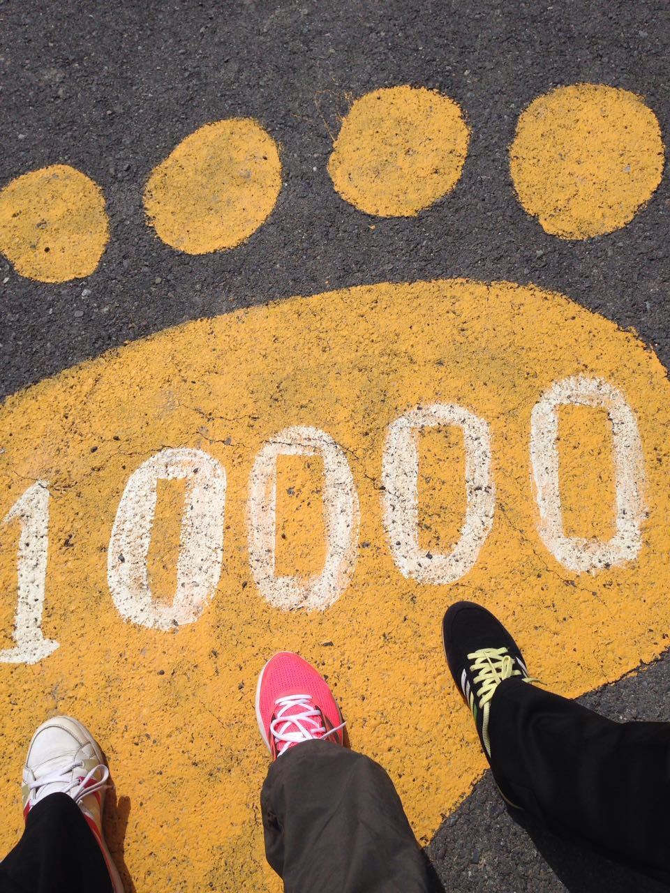 1466503259976348.jpg 1466503259976348.jpg