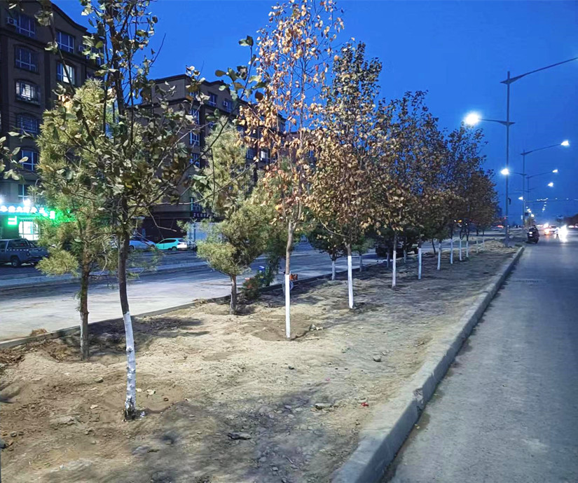 1701417528879002.jpg 微信圖片_20231113180708_副本.jpg